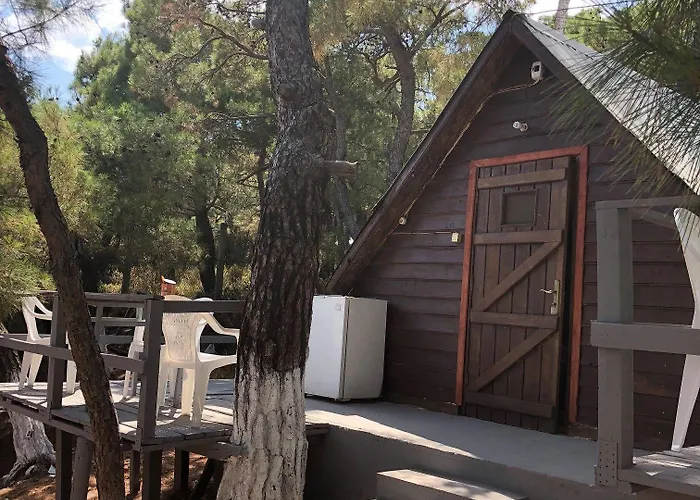 Camlik Kamping Sefacamlik