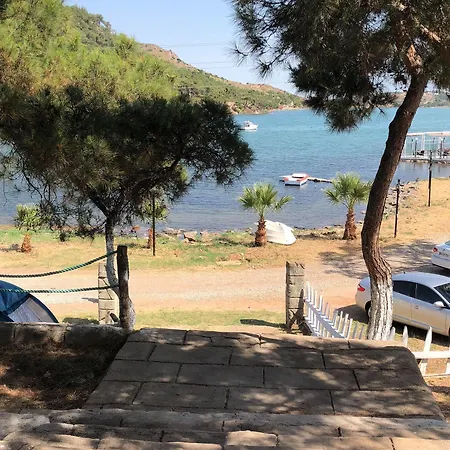 Camlik Kamping *