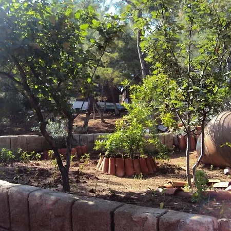 Camlik Kamping Sefacamlik