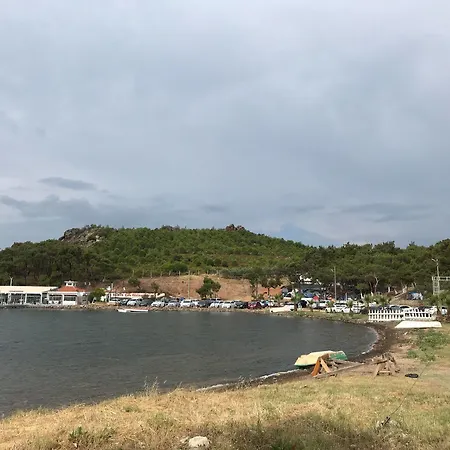 Camlik Kamping *